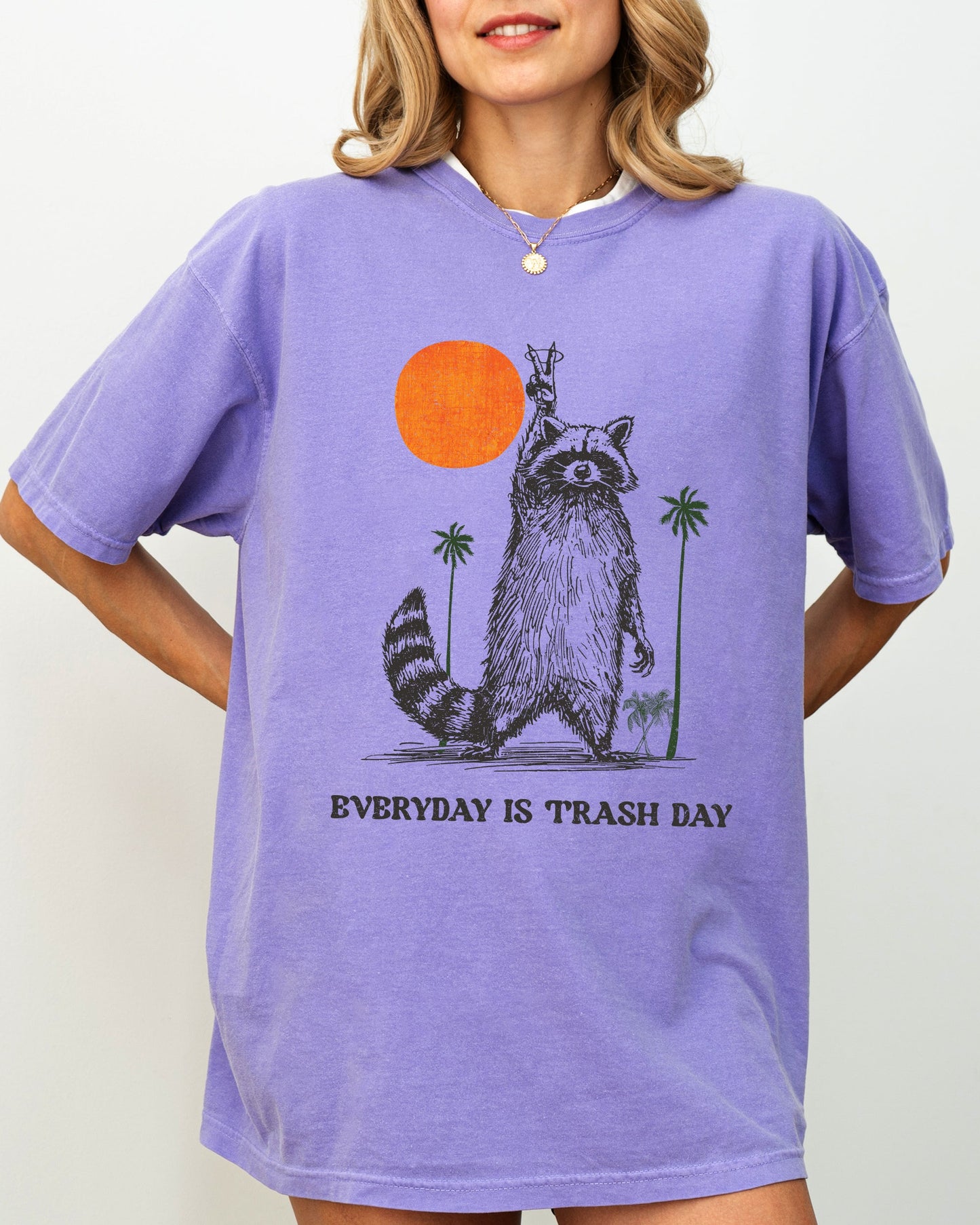 Everyday Is Trash Day, Funny, Raccoon, Meme, Aesthetic Shirt Comfort Colors T-Shirt