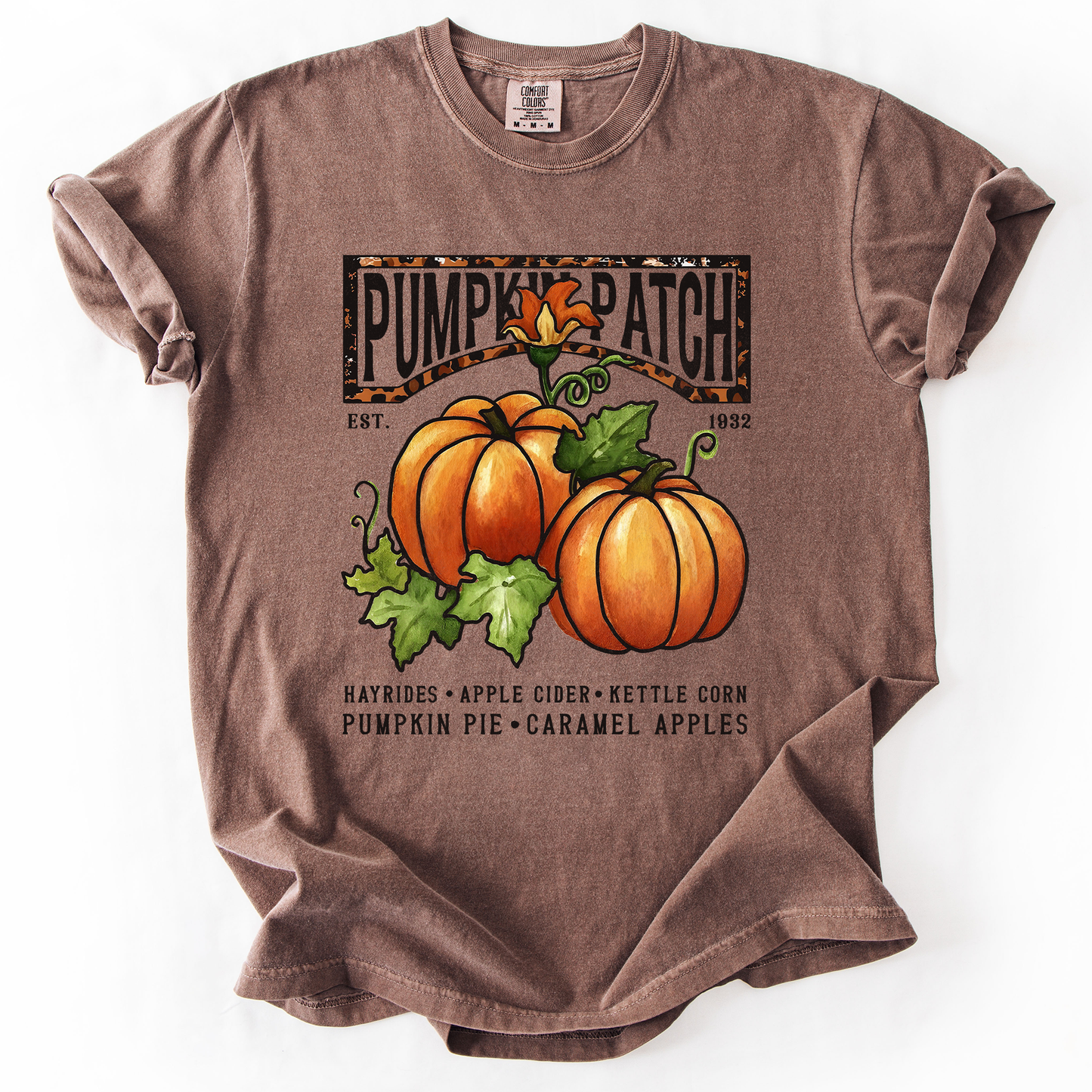 Brown Pumpkin Patch, Autumn, Fall, Halloween, Comfort Colors T-Shirt