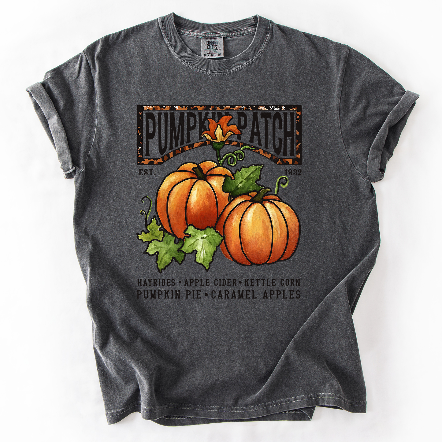 Charcoal Gray Pumpkin Patch, Autumn, Fall, Halloween, Comfort Colors T-Shirt