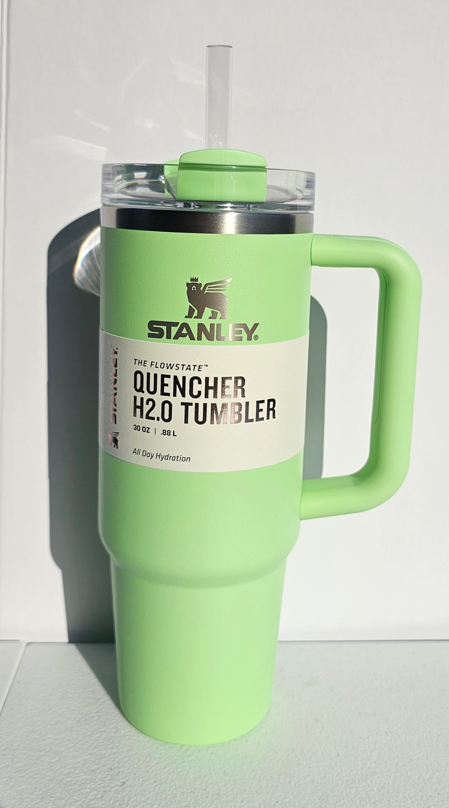 Target Stanley Starbucks 30oz Quencher | Feather Green